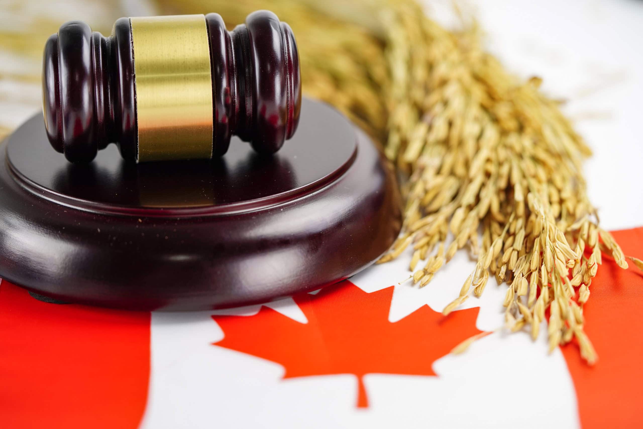 ontario justice system