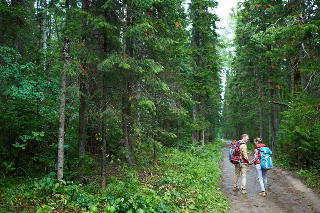 Two hikers walking along a forest trail with backpacks, symbolizing wilderness safety and bear spray preparedness